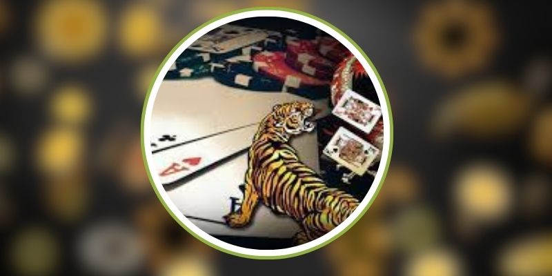 Rồng Hổ TK88 – Game Cá Cược Nhanh Chóng, Hấp Dẫn 2 Giới thiệu về game chơi Rồng Hổ TK88